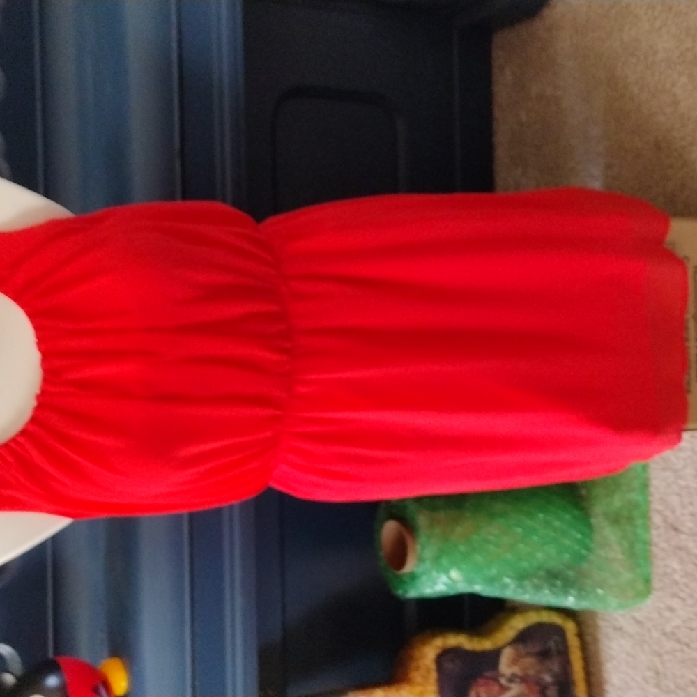 Sheer chiffon like material sleeves dress  Emma& Michele made in Vietnam size 8